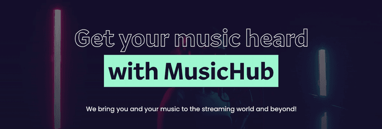 MusicHub team